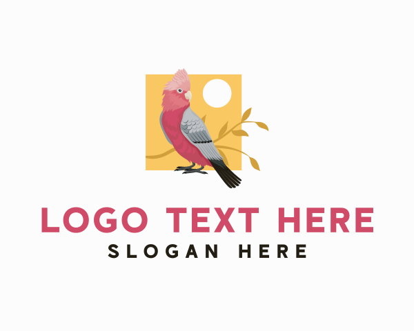 Feathers logo example 2