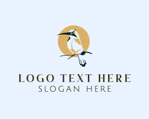 Bird Wildlife Safari logo