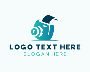 Polaroid Camera Film logo