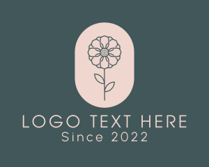 Daisy Flower Garden logo